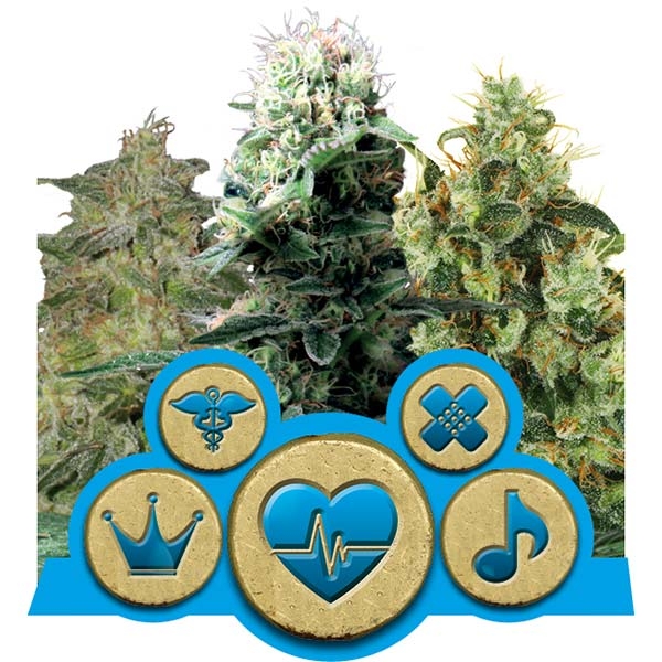 Medical MIX CBD фотопериодные семена конопли