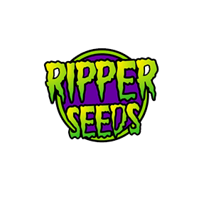 Zkittles x Bubba Kush фотопериодные семена конопли